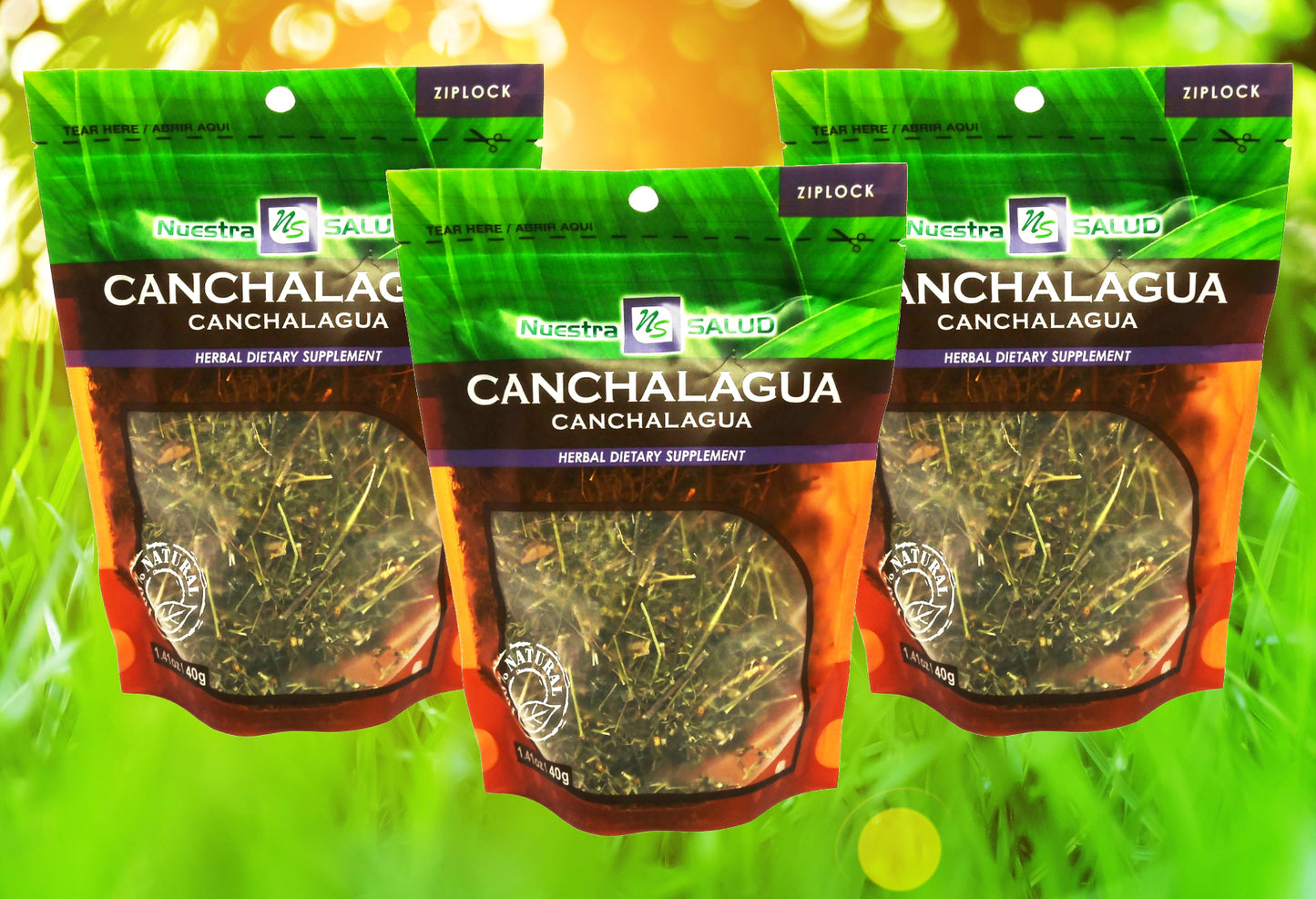 Canchalagua Tea Herbal Infusion Value Pack - Flora Herbal Infusions
