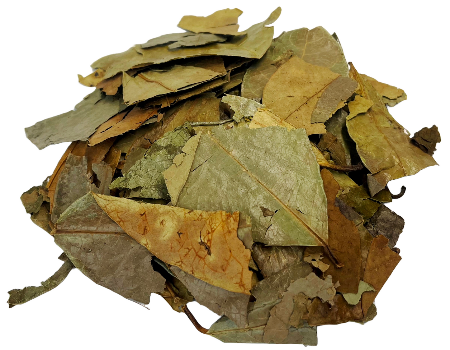 Soursop Tea Leaves Herbal Infusion Hojas De Guanabana Value Pack (35g-105g) Premium Silver Line - Flora Herbal Infusions