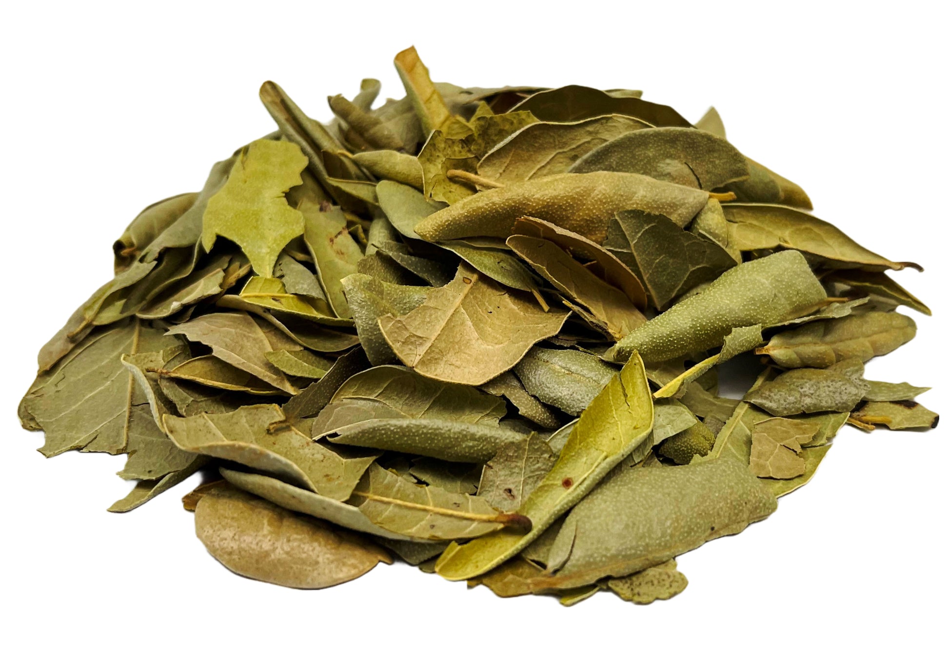 boldo tea leaves herbal infusion
